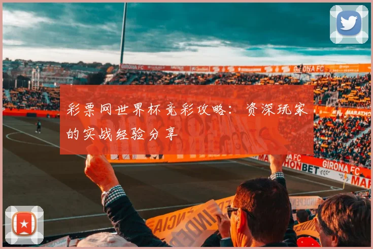 彩票网世界杯竞彩攻略：资深玩家的实战经验分享